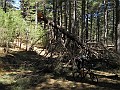 DSCN4105