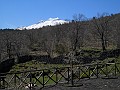 DSCN4127