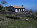 DSCN4140