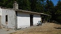 DSCN6326