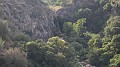 DSCN8344