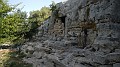 DSCN8353