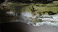 DSCN8355