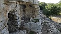 DSCN8358