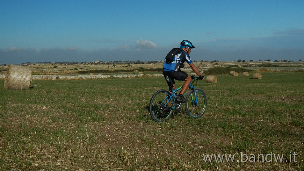 DSCN8330.JPG -                                