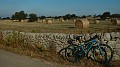 DSCN8328