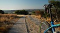DSCN8389