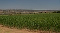 DSCN8423