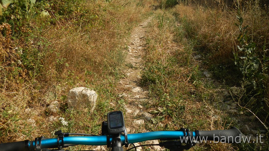 DSCN8379.JPG -                                