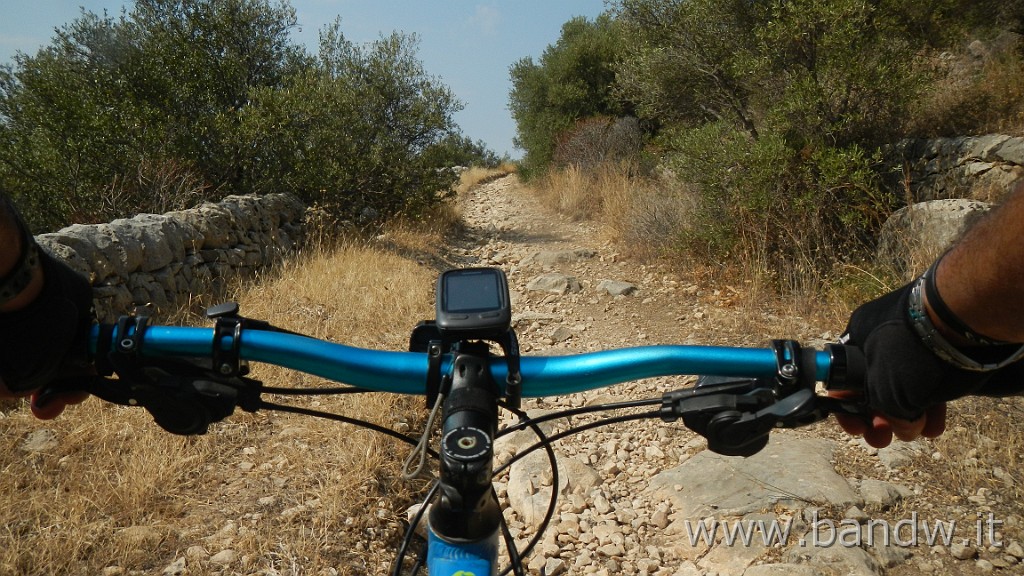 DSCN8382.JPG -                                