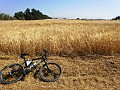 P6090253 copia