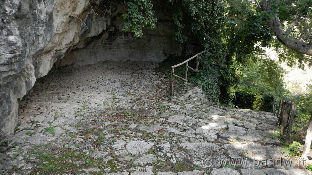 DSCN0195.JPG -                                