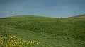 DSCN9209