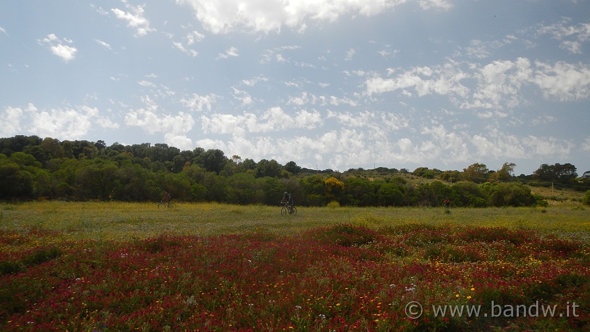 DSCN2474.JPG -                                