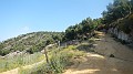 DSCN2395