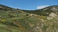 DSCN2432