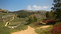 DSCN2442