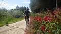 DSCN2446