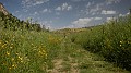 DSCN2449