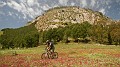 DSCN2452