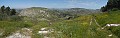 DSCN2461