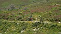 DSCN2464