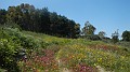 DSCN2466