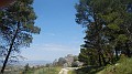 DSCN2467