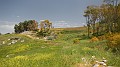 DSCN2469