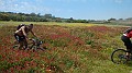 DSCN2476