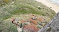 DSCN2494