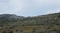 DSCN2502