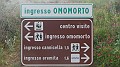 DSCN2505