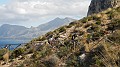 DSCN4833