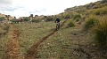 DSCN4890