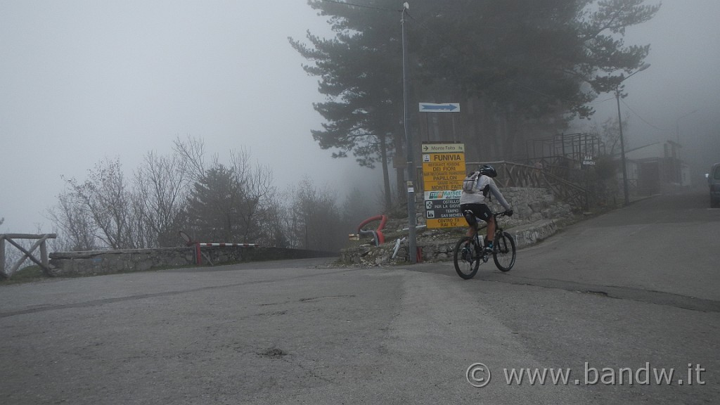 DSCN8422.JPG -                                