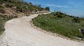 DSCN2101