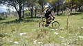DSCN2114