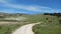 DSCN2116