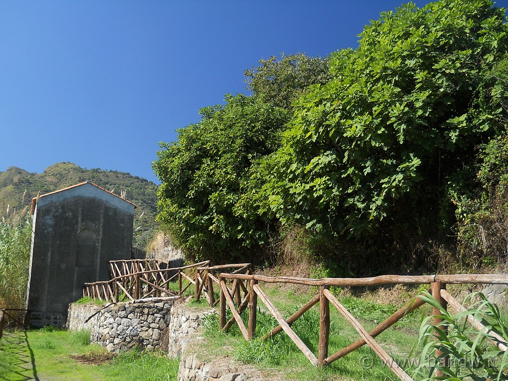 DSCN7572.JPG - .......................