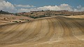 DSCN5416
