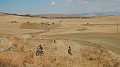 DSCN5418