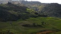 DSCN6465