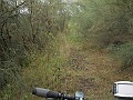 DSCN1536