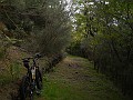 DSCN1538