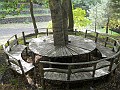 DSCN1547
