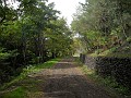 DSCN1551