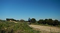 DSCN4350