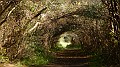 DSCN4407