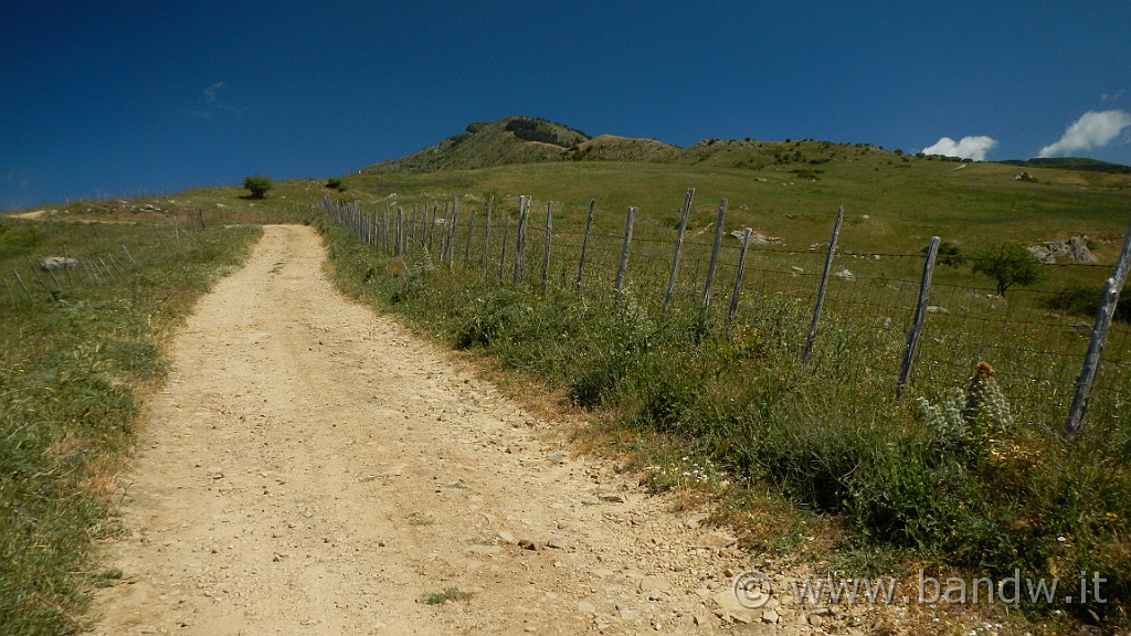 DSCN9793.JPG -                                